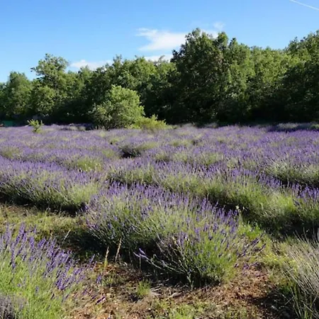 La Buisse - Les 2 Feriehus *