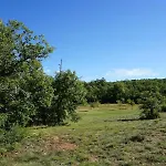 La Buisse - Les 2 * Simiane-la-Rotonde