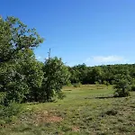 Feriehus La Buisse - Les 2 *