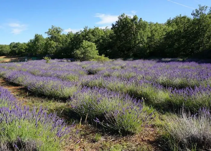 La Buisse - Les 2 Hébergement de vacances *